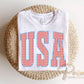 Seersucker Stripes USA DTF Transfer, 250 Anniversary, 4th of July Tshirt Design