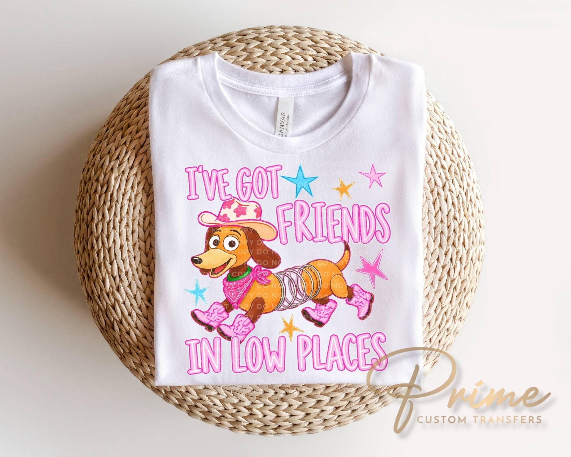I've Got Friends In Low Places DTF, Ready to Press, Retro Cowgirl Dog Thirt Design