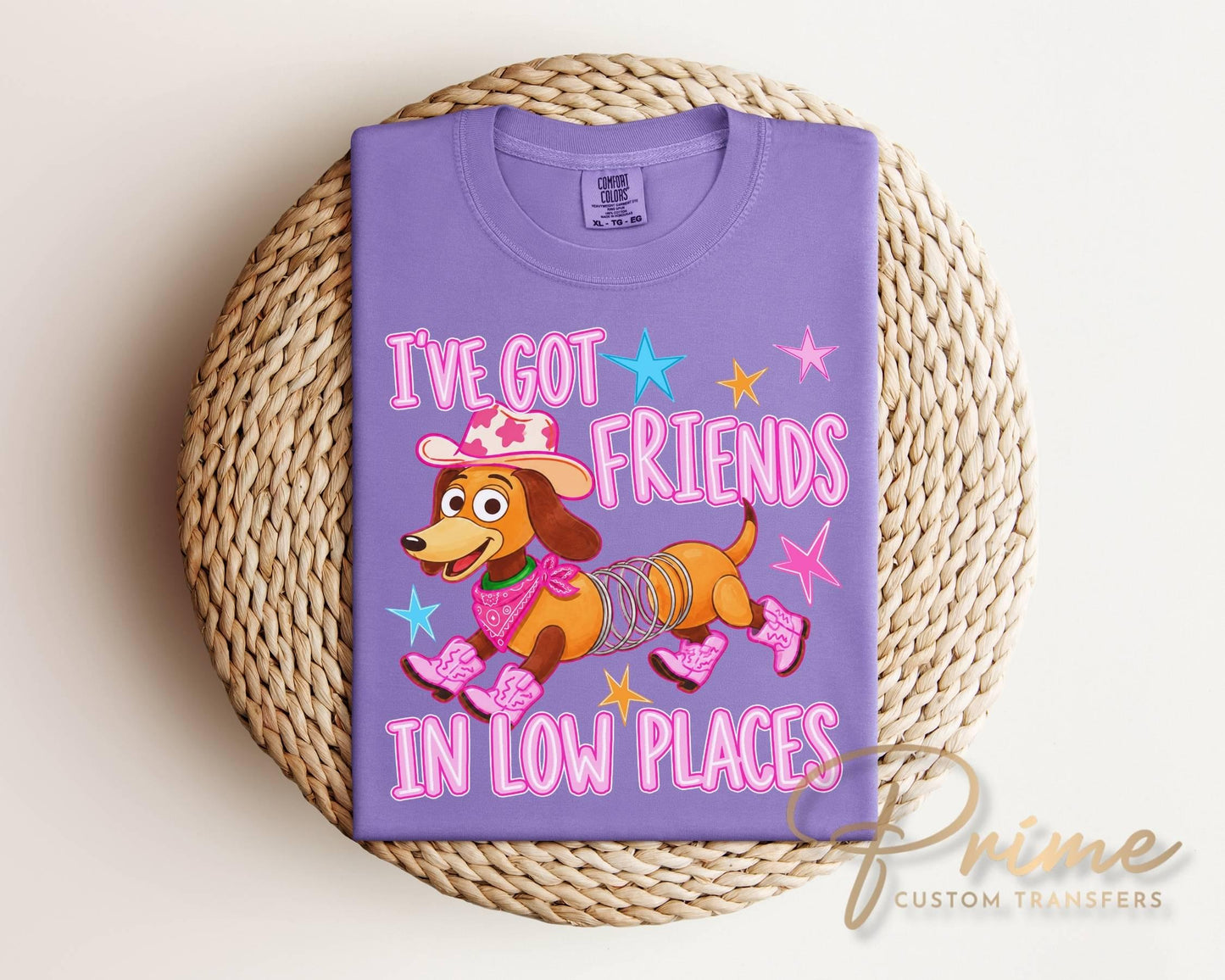I've Got Friends In Low Places DTF, Ready to Press, Retro Cowgirl Dog Thirt Design