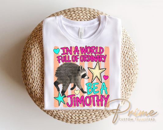 Be a Jimothy DTF Transfer, Ready to Press, Funny Seattle Raccoon Tshirt Design