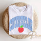 Back to School Counselor DTF Transfer, Ready to Press, Blue Gingham First Day of School Tshirt Design