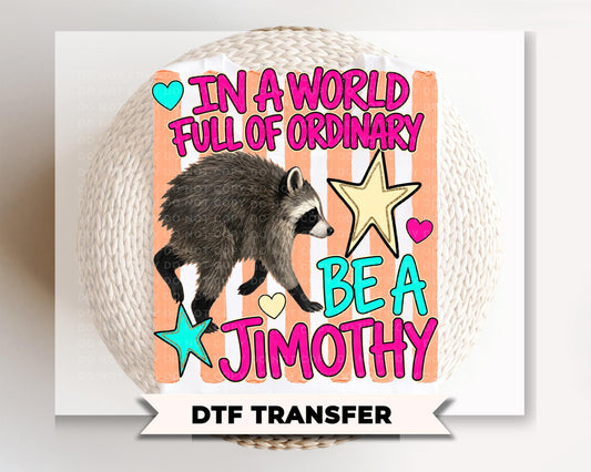 Be a Jimothy DTF Transfer, Ready to Press, Funny Seattle Raccoon Tshirt Design