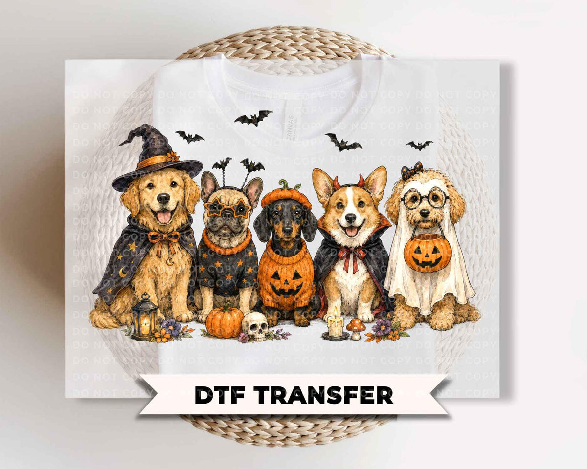Dog Halloween DTF Transfers, Ready to Press, No Tricks Just Treats, Fall Dog Lover Shirt Design